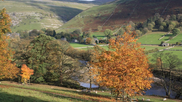 View looking towards hills and river, Upper Wharfedale, Yorkshire Dales